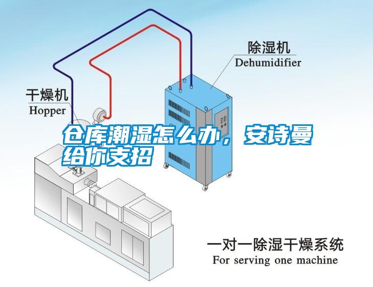 倉庫潮濕怎么辦，安詩曼給你支招