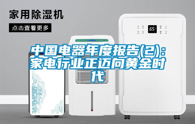 中國電器年度報告(2)：家電行業(yè)正邁向黃金時代