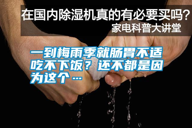 一到梅雨季就腸胃不適吃不下飯？還不都是因為這個…