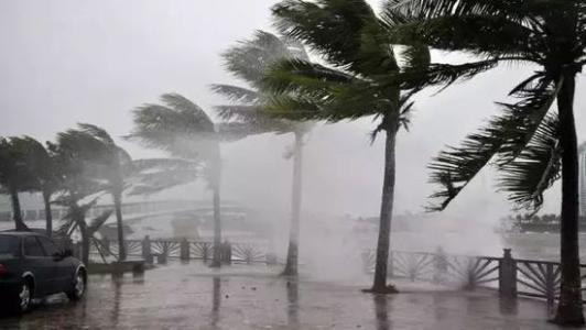 8月臺(tái)風(fēng)雨即將來(lái)，除濕機(jī)還得用起來(lái)