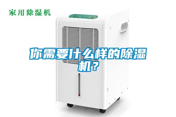 你需要什么樣的除濕機？