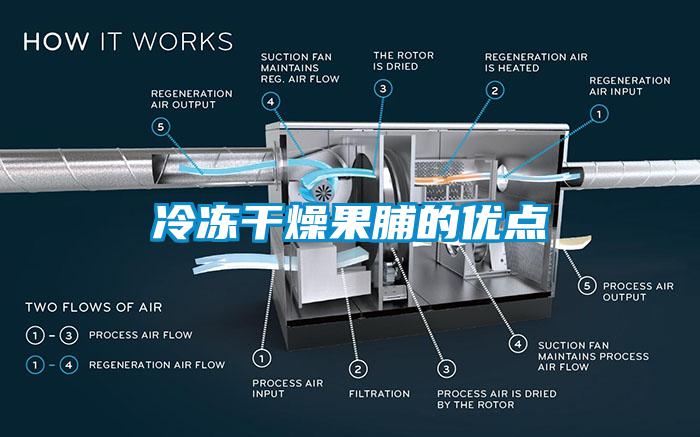 冷凍干燥果脯的優(yōu)點