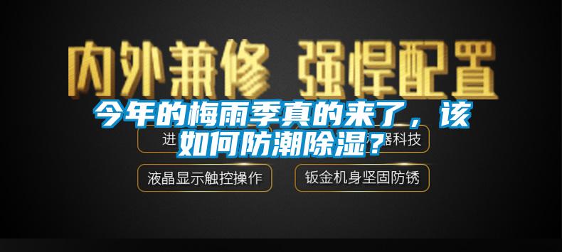 今年的梅雨季真的來了，該如何防潮除濕？