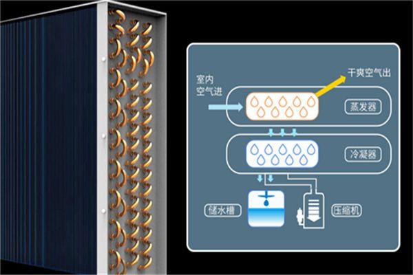 冷庫消毒用什么好？冷庫霧化消毒機(jī)