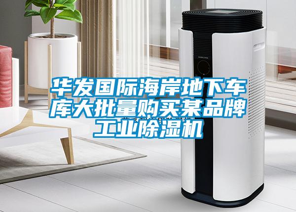 華發(fā)國際海岸地下車庫大批量購買某品牌工業(yè)除濕機(jī)