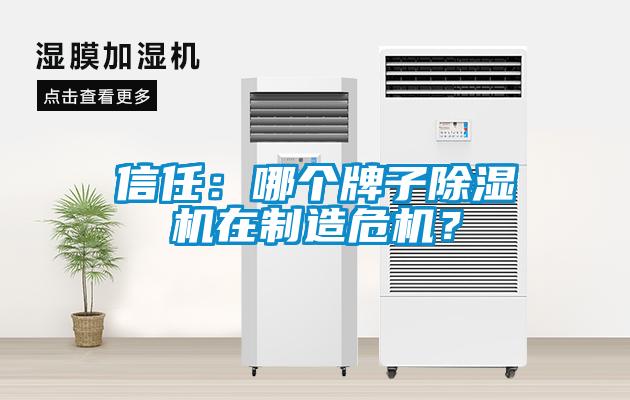 信任：哪個牌子除濕機(jī)在制造危機(jī)？