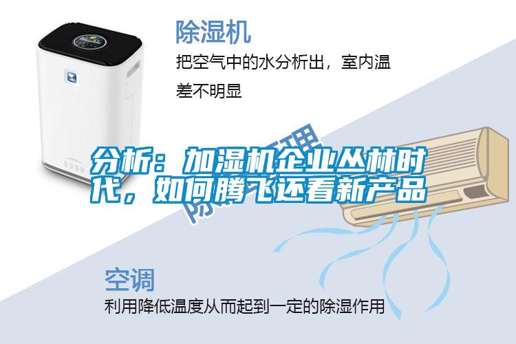 分析：加濕機企業(yè)叢林時代，如何騰飛還看新產品