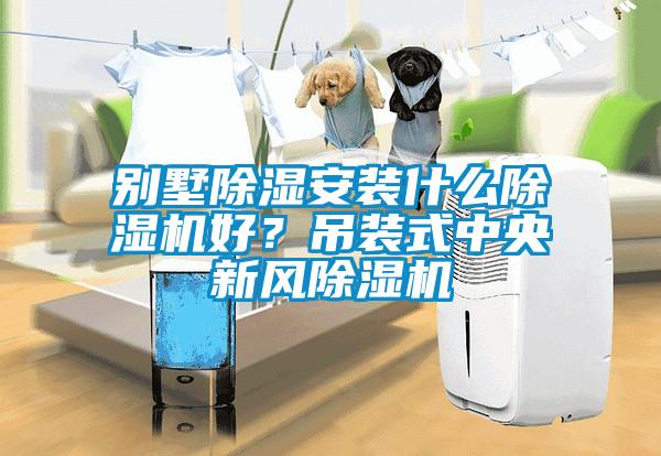 別墅除濕安裝什么除濕機(jī)好？吊裝式中央新風(fēng)除濕機(jī)