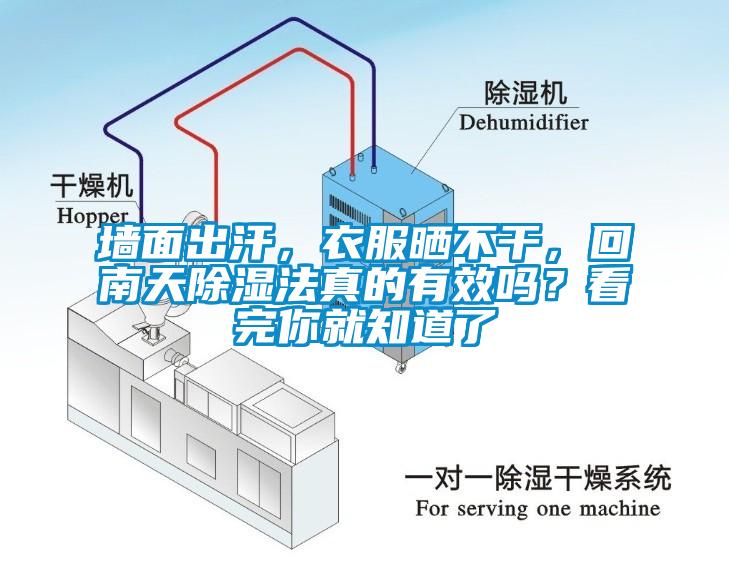 墻面出汗，衣服曬不干，回南天除濕法真的有效嗎？看完你就知道了