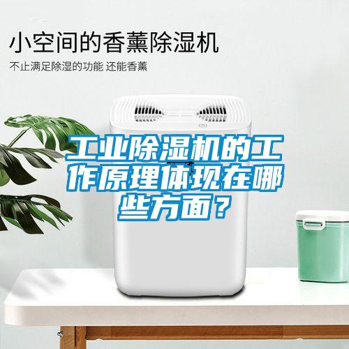 工業(yè)除濕機(jī)的工作原理體現(xiàn)在哪些方面？