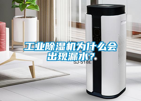 工業(yè)除濕機為什么會出現(xiàn)漏水？