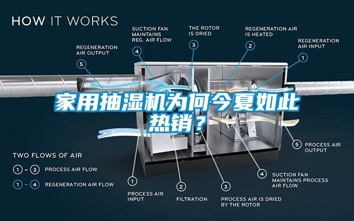 家用抽濕機為何今夏如此熱銷？