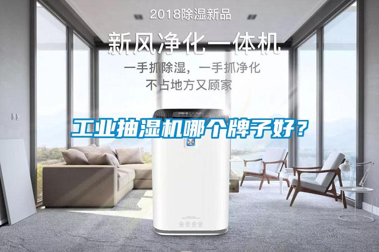 工業(yè)抽濕機哪個牌子好？