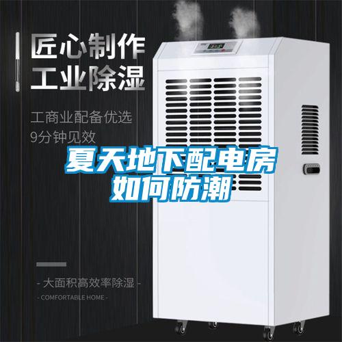 夏天地下配電房如何防潮