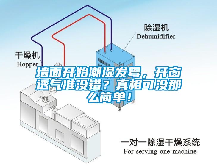 墻面開始潮濕發(fā)霉，開窗透氣準(zhǔn)沒錯(cuò)？真相可沒那么簡(jiǎn)單！