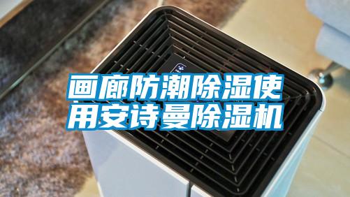 畫廊防潮除濕使用安詩曼除濕機(jī)