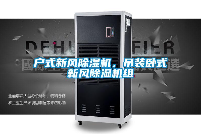 戶式新風(fēng)除濕機，吊裝臥式新風(fēng)除濕機組