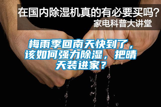 梅雨季回南天快到了，該如何強力除濕，把晴天裝進家？