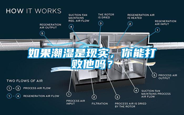 如果潮濕是現(xiàn)實(shí)，你能打敗他嗎？