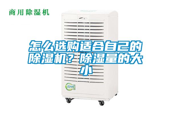 怎么選購(gòu)適合自己的除濕機(jī)？除濕量的大小