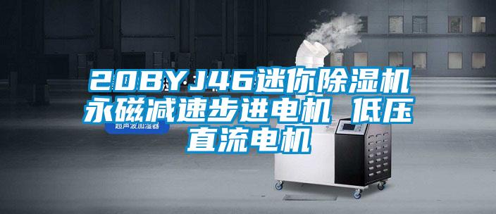 20BYJ46迷你除濕機(jī)永磁減速步進(jìn)電機(jī) 低壓直流電機(jī)