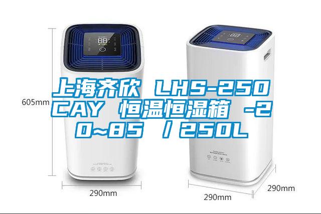 上海齊欣 LHS-250CAY 恒溫恒濕箱 -20~85℃／250L