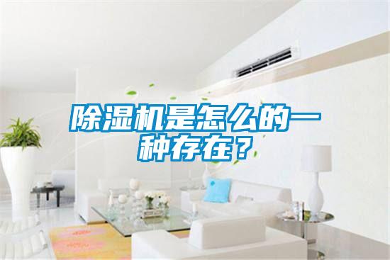 除濕機是怎么的一種存在？