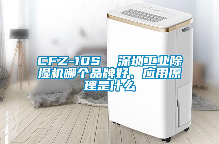 CFZ-10S  深圳工業(yè)除濕機(jī)哪個(gè)品牌好、應(yīng)用原理是什么