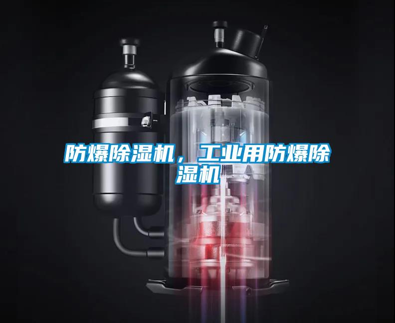 防爆除濕機(jī)，工業(yè)用防爆除濕機(jī)