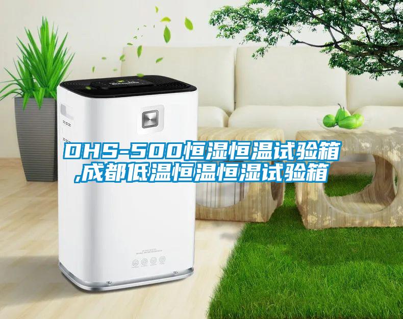 DHS-500恒濕恒溫試驗箱,成都低溫恒溫恒濕試驗箱