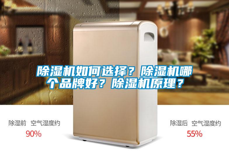 除濕機如何選擇？除濕機哪個品牌好？除濕機原理？