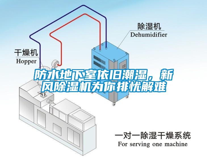 防水地下室依舊潮濕，新風除濕機為你排憂解難