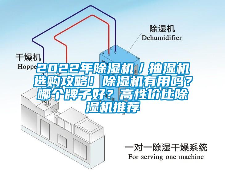 2022年除濕機／抽濕機選購攻略！除濕機有用嗎？哪個牌子好？高性價比除濕機推薦