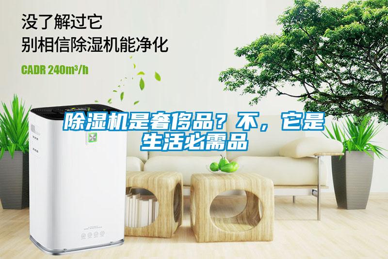 除濕機(jī)是奢侈品？不，它是生活必需品