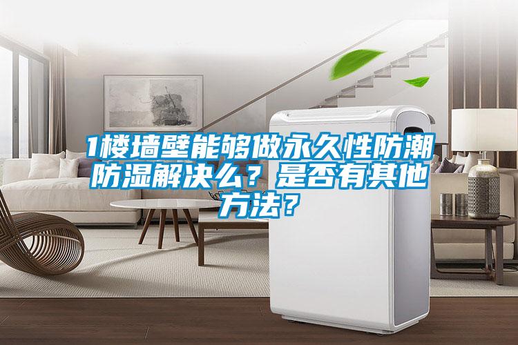 1樓墻壁能夠做永久性防潮防濕解決么？是否有其他方法？