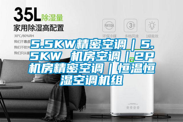 5.5KW精密空調(diào)｜5.5KW 機(jī)房空調(diào)｜2P機(jī)房精密空調(diào)｜恒溫恒濕空調(diào)機(jī)組