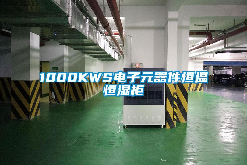 1000KWS電子元器件恒溫恒濕柜