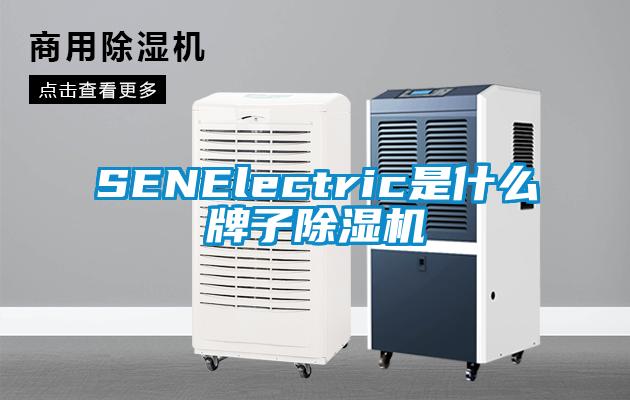 SENElectric是什么牌子除濕機(jī)