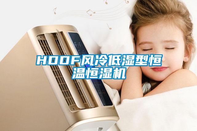 HDDF風(fēng)冷低濕型恒溫恒濕機(jī)