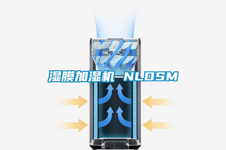 濕膜加濕機(jī) NLDSM