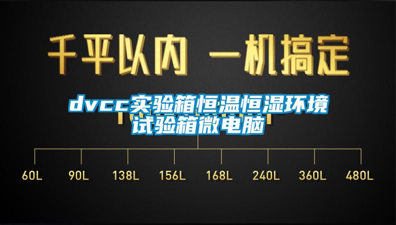 dvcc實(shí)驗(yàn)箱恒溫恒濕環(huán)境試驗(yàn)箱微電腦