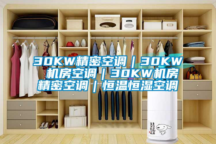 30KW精密空調(diào)｜30KW 機房空調(diào)｜30KW機房精密空調(diào)｜恒溫恒濕空調(diào)