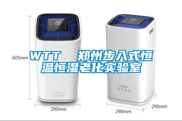 WTT  鄭州步入式恒溫恒濕老化實(shí)驗(yàn)室