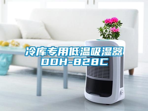 冷庫專用低溫吸濕器DDH-828C