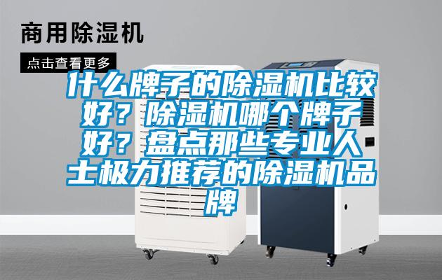 什么牌子的除濕機比較好？除濕機哪個牌子好？盤點那些專業(yè)人士極力推薦的除濕機品牌