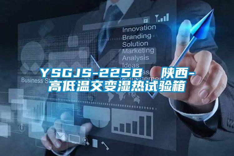 YSGJS-225B  陜西-高低溫交變濕熱試驗箱