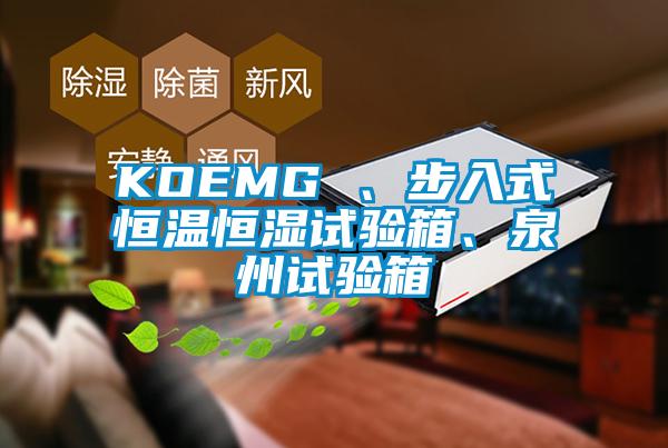 KOEMG 、步入式恒溫恒濕試驗(yàn)箱、泉州試驗(yàn)箱