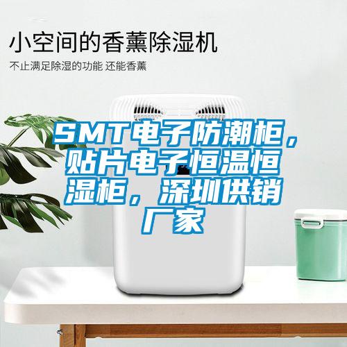 SMT電子防潮柜，貼片電子恒溫恒濕柜，深圳供銷廠家