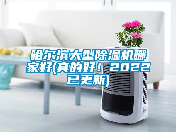 哈爾濱大型除濕機哪家好(真的好！2022已更新)