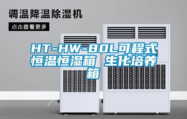 HT-HW-80L可程式恒溫恒濕箱 生化培養(yǎng)箱